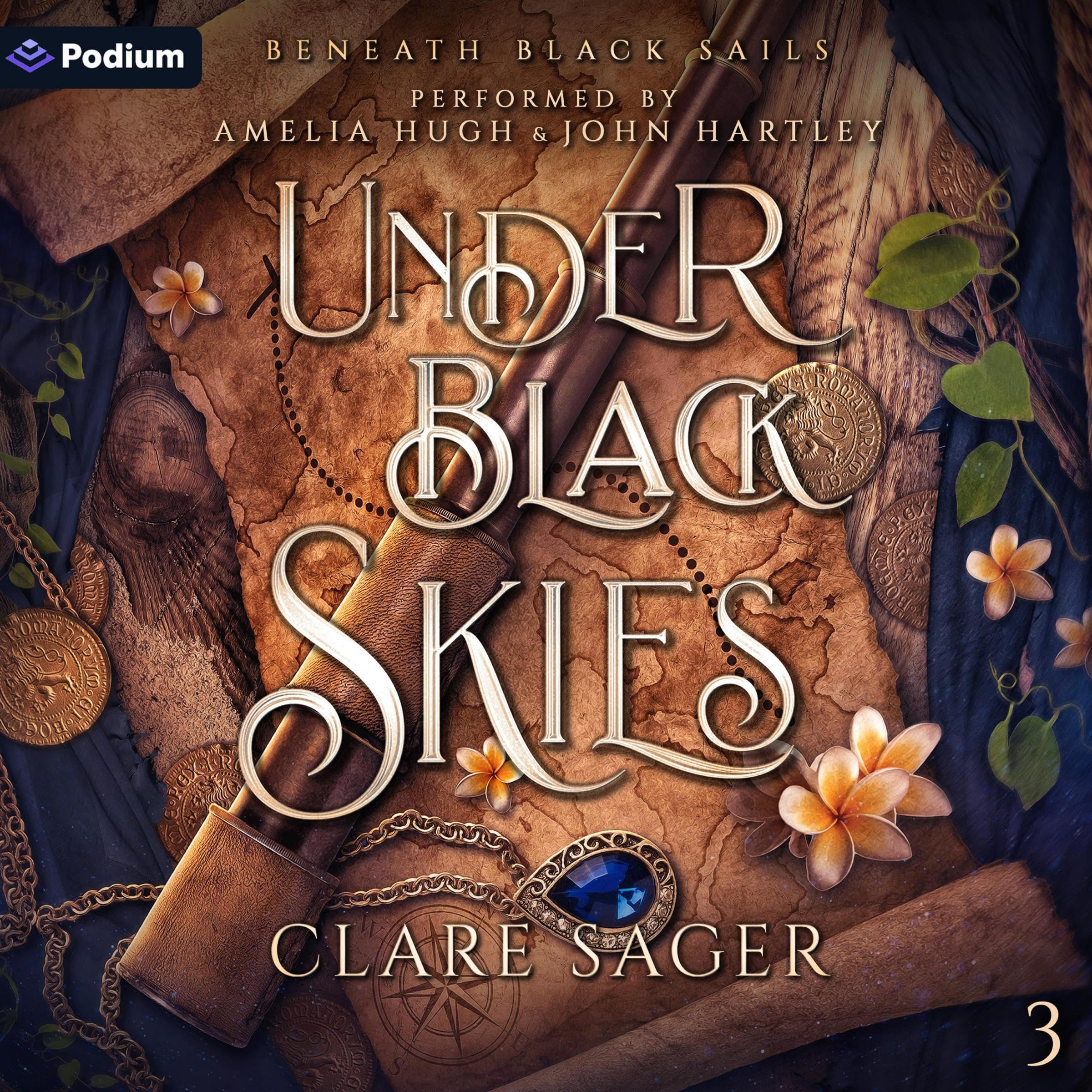 Cover art for Under Black Skies