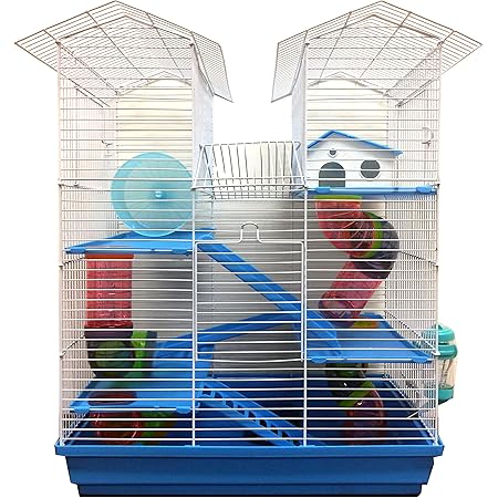 large syrian hamster