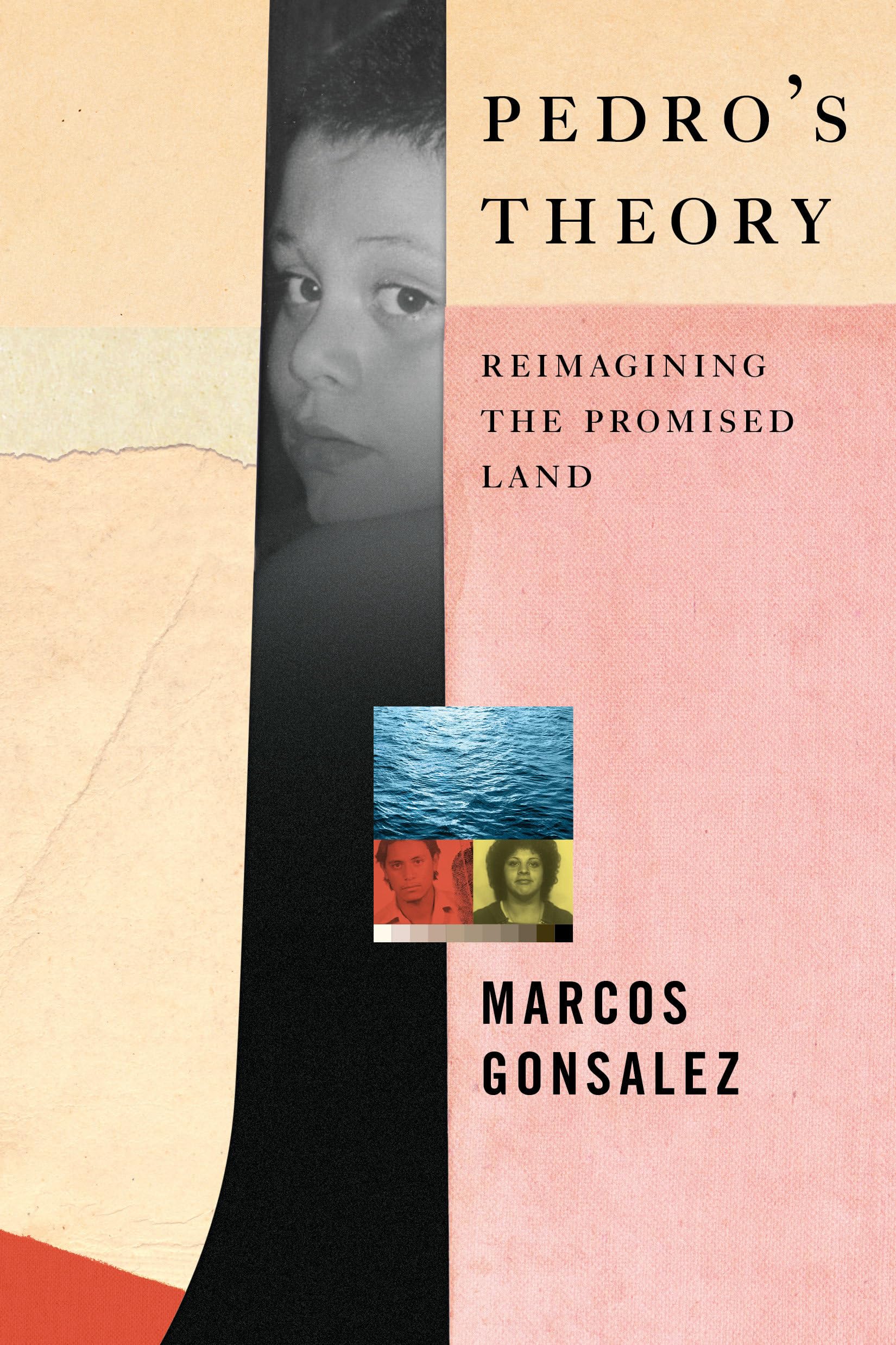 Buy Pedro's Theory: Reimagining the Promised Land — BookShops.in