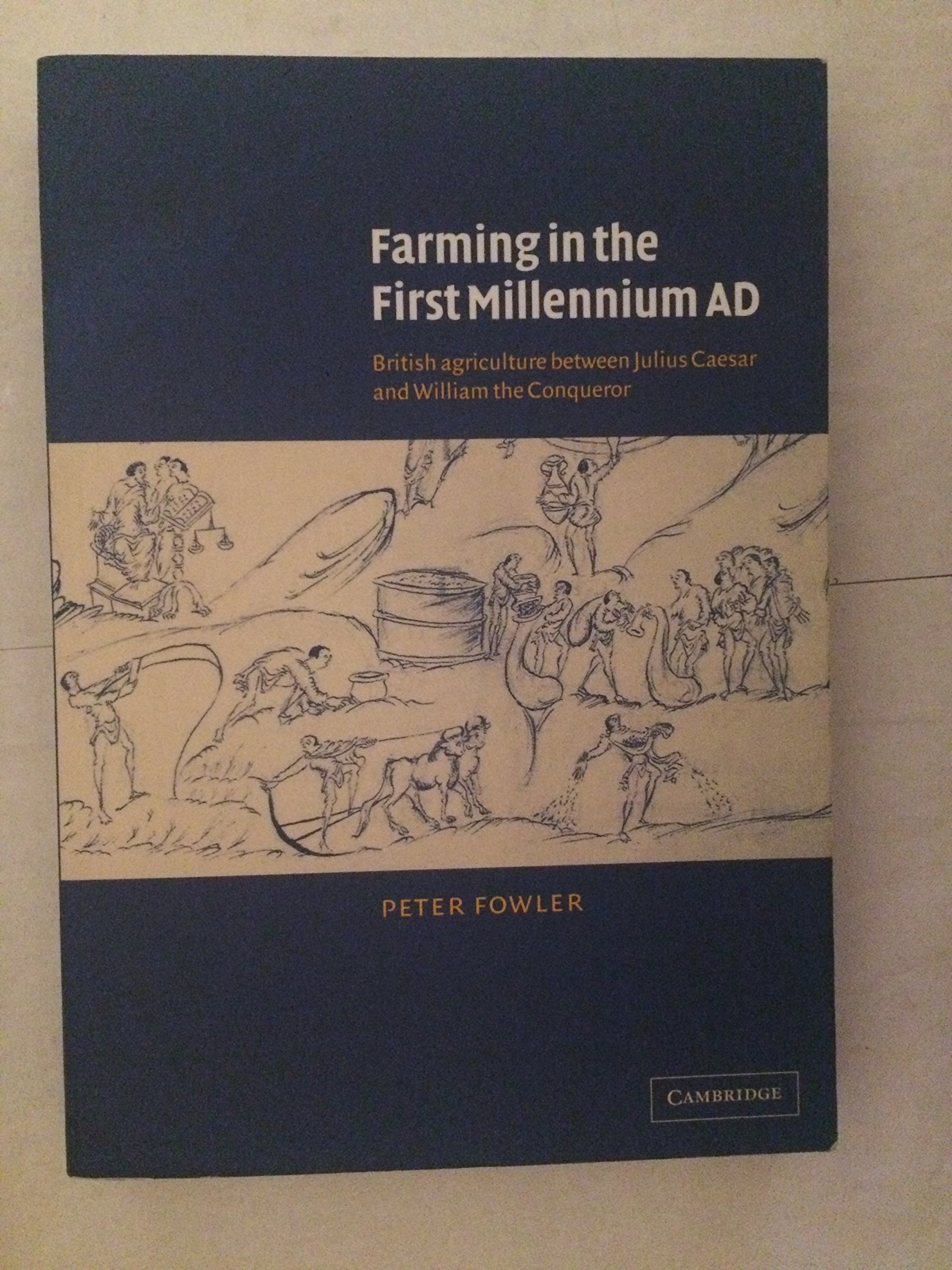 Farming in the First Millennium Ad: British Agriculture Between