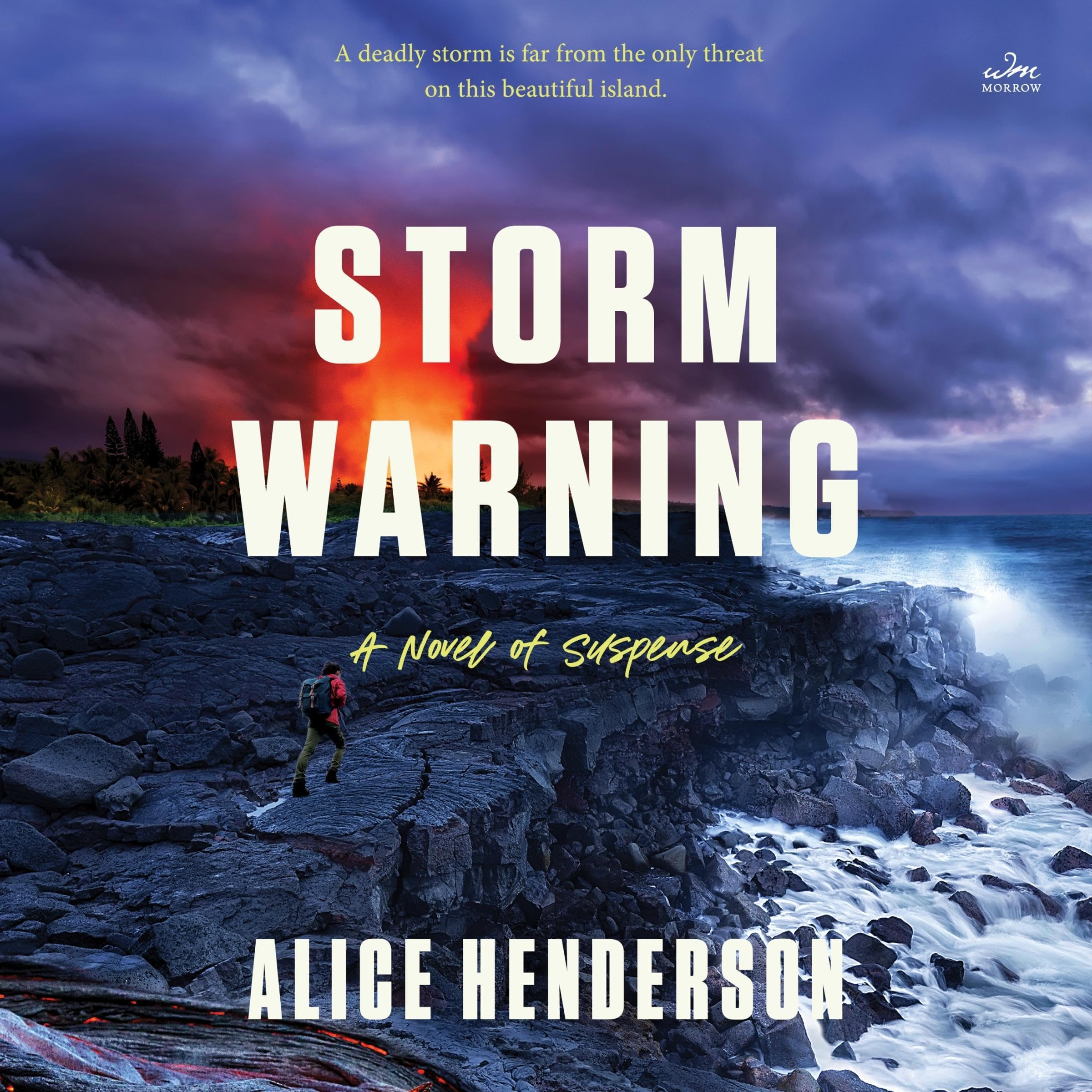 Cover art for Storm Warning