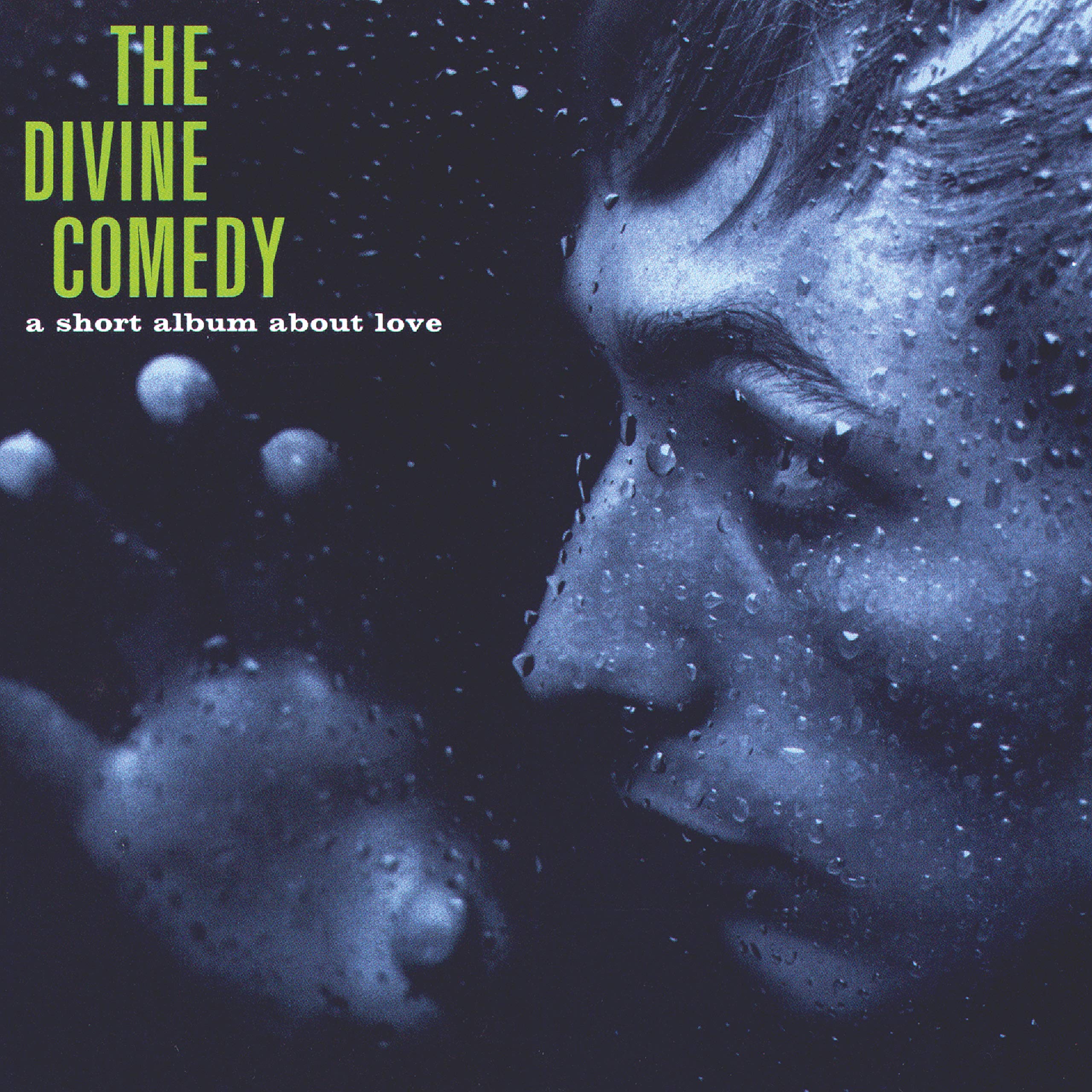 The Divine Comedy A Short Album About Love 180 Gram Vinyl LP & Download
