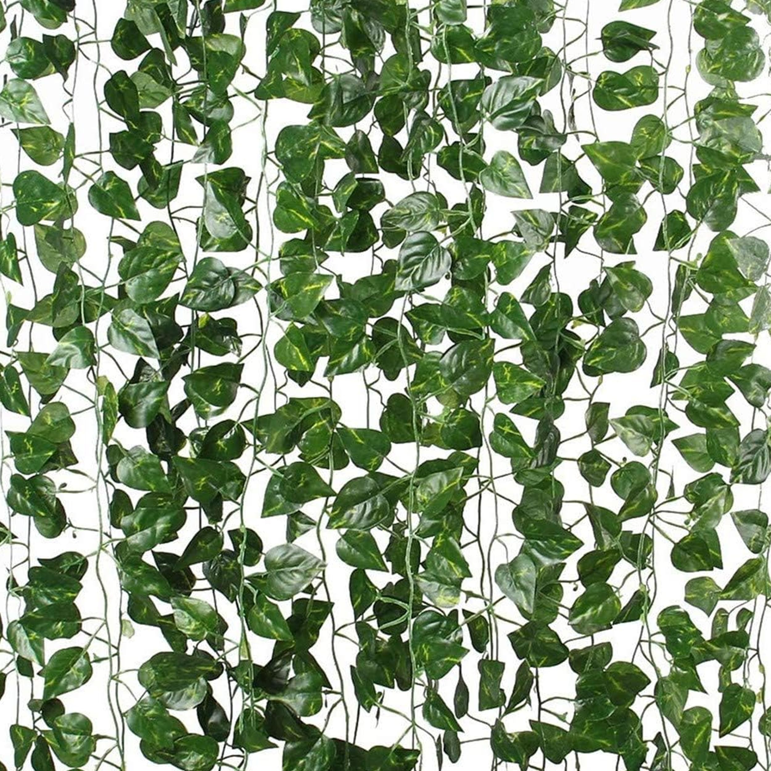 TIED RIBBONS Plastic Set Of 6 Artificial Money Artificial Plant Leaves Creeper Garland For Decoration Wall Door Hanging Home Decor Balcony Kitchen Office Decorations Items (88 Inch), Transparent (B0CHRWR8S2) Amazon Price History, Amazon Price Tracker