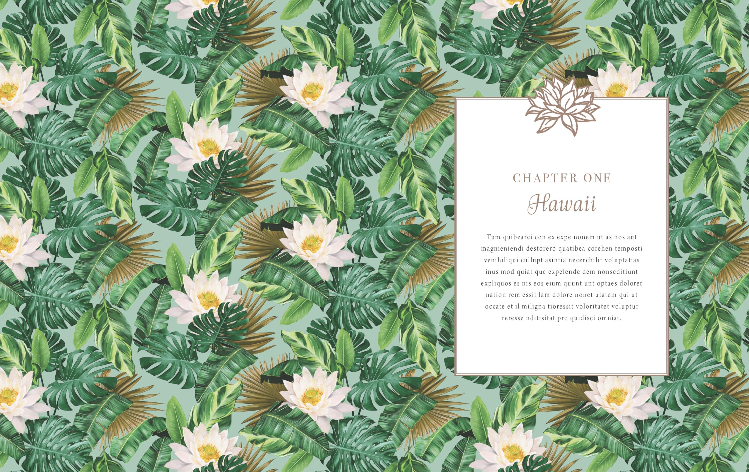 The White Lotus: Official Cookbook; Signature Recipes from Our Resorts' Most Popular Destinations