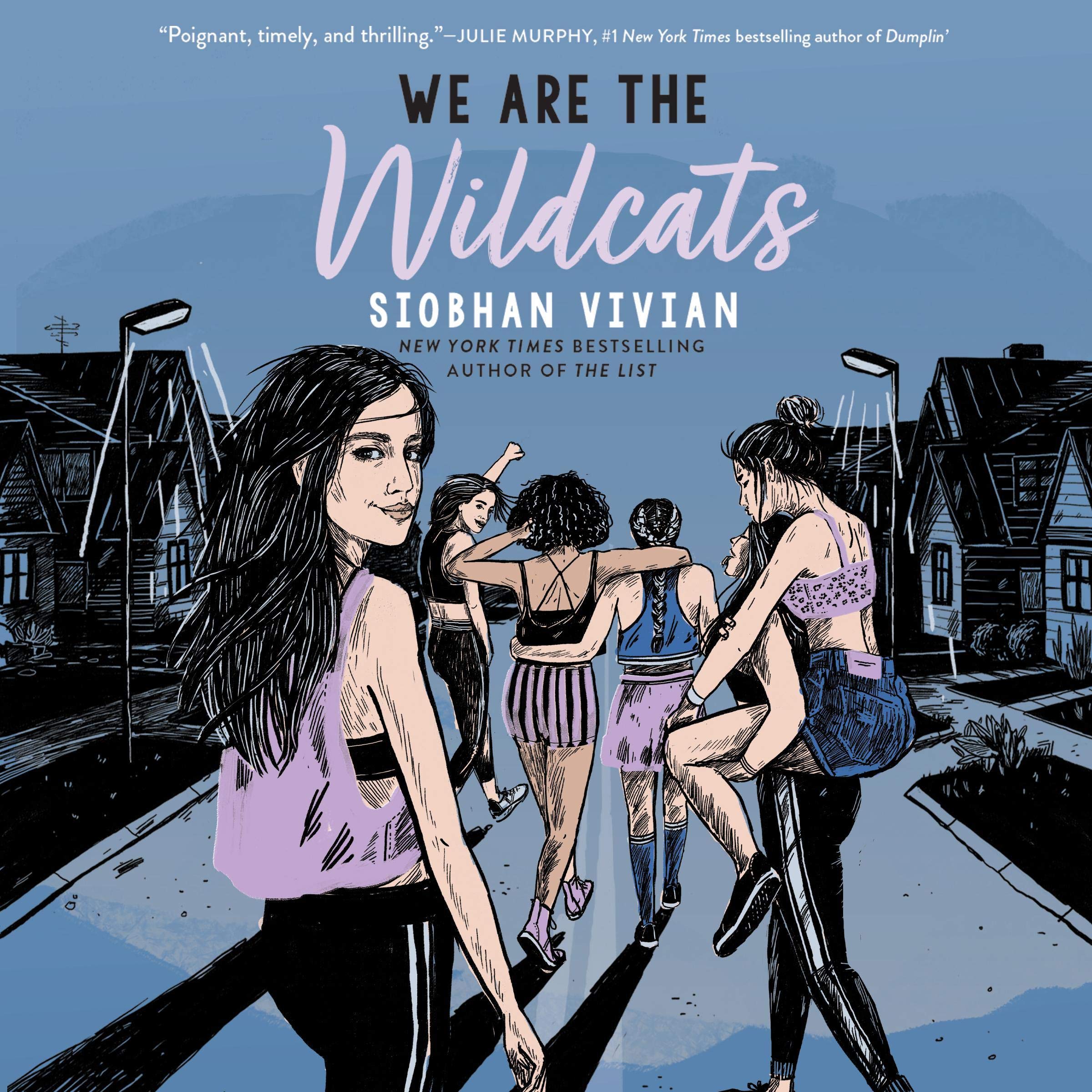 Cover art for We Are the Wildcats