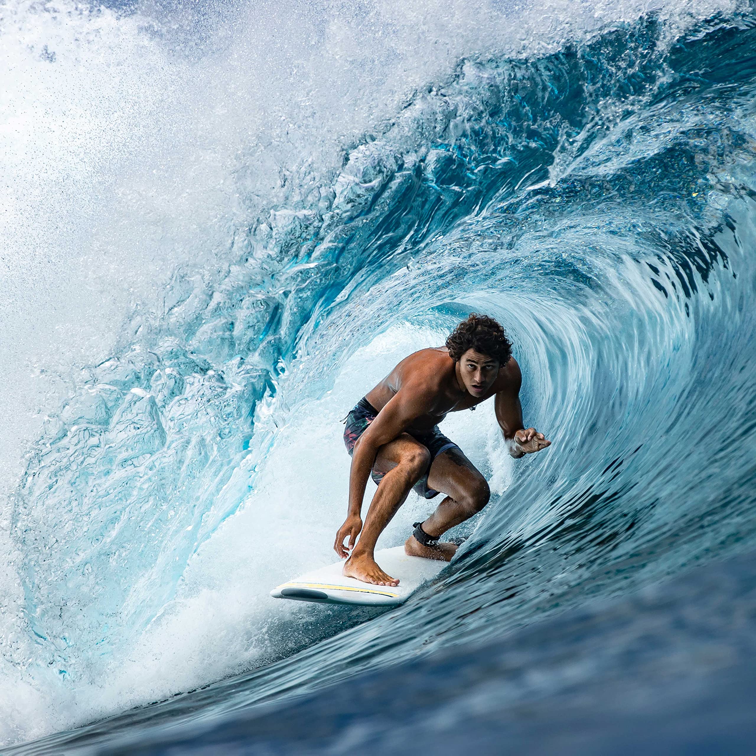 Amazon | タヘ TAHE SURFBOARDS 5'10 FISH | TAHE | サーフボード