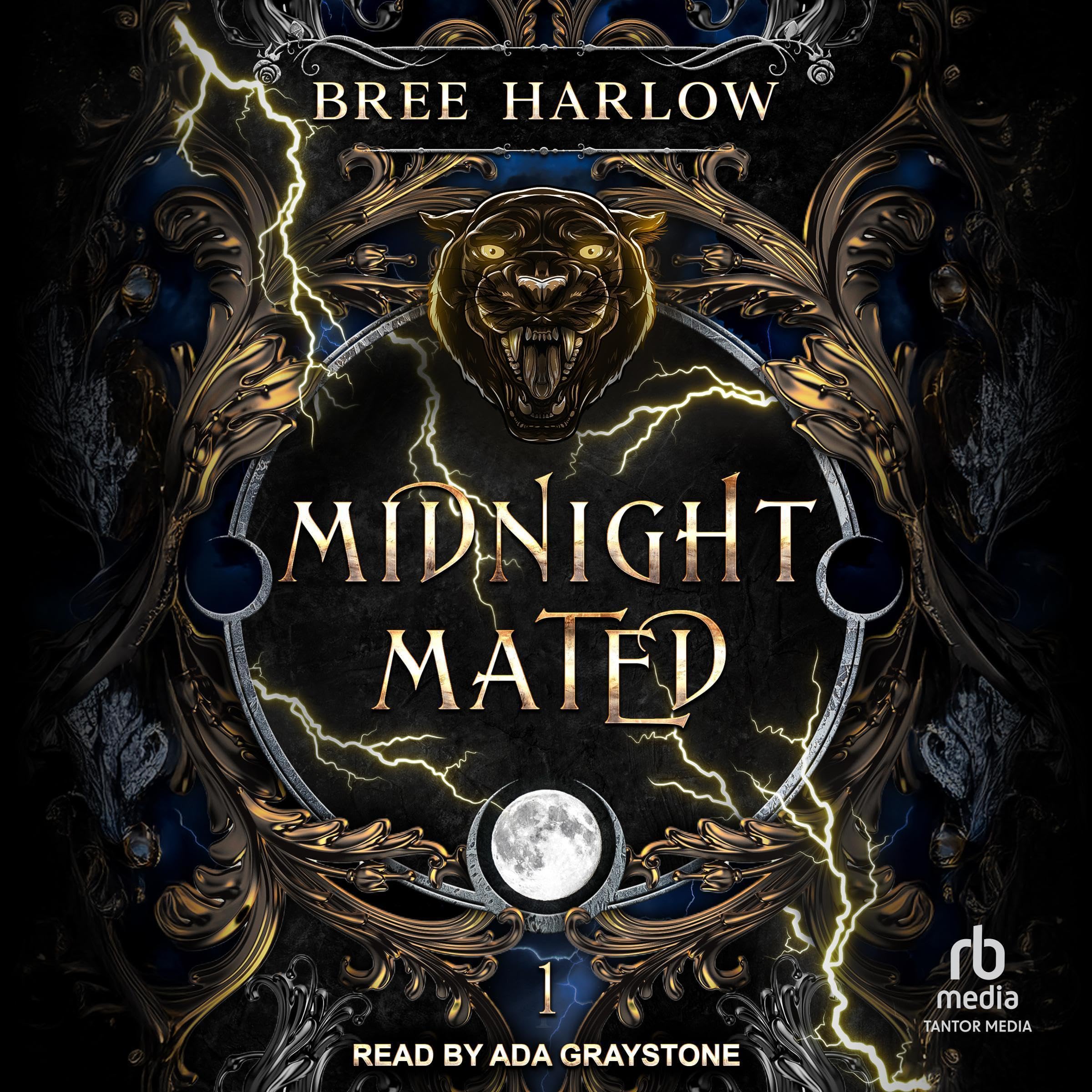 Cover art for Midnight Mated