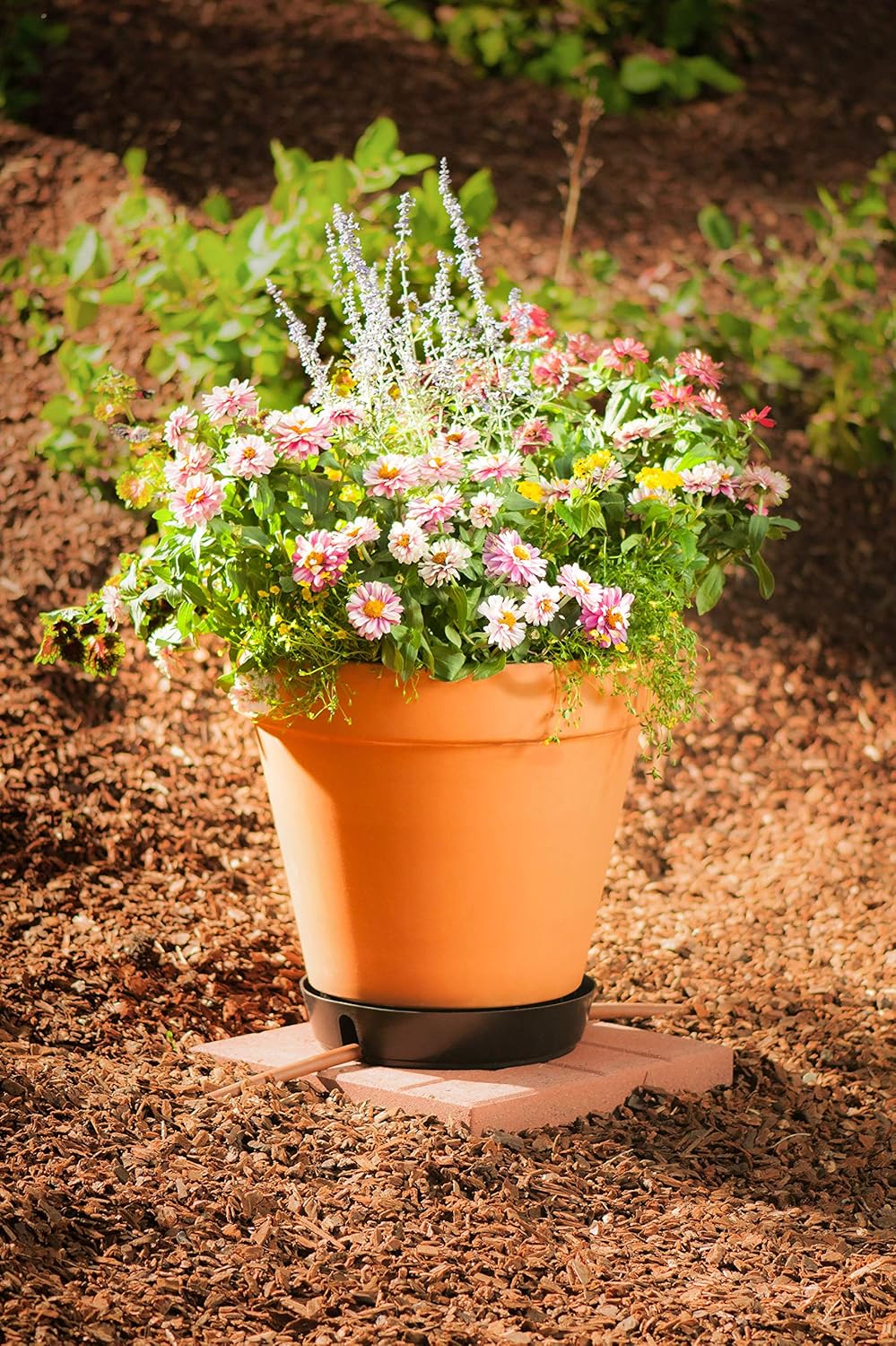 Daisy Rain Sprinkler Saucer Patio, Lawn & Garden