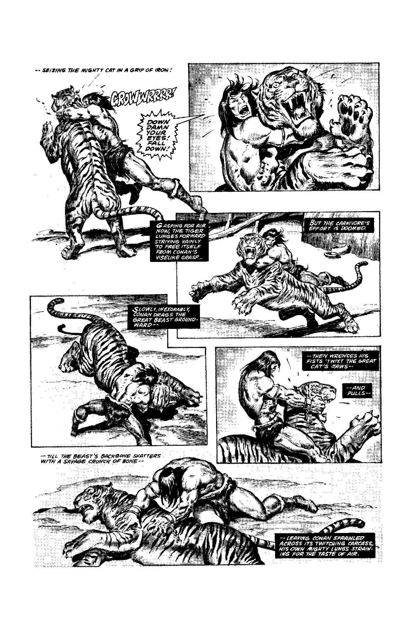 The Savage Sword of Conan: The Original Comics Omnibus 5