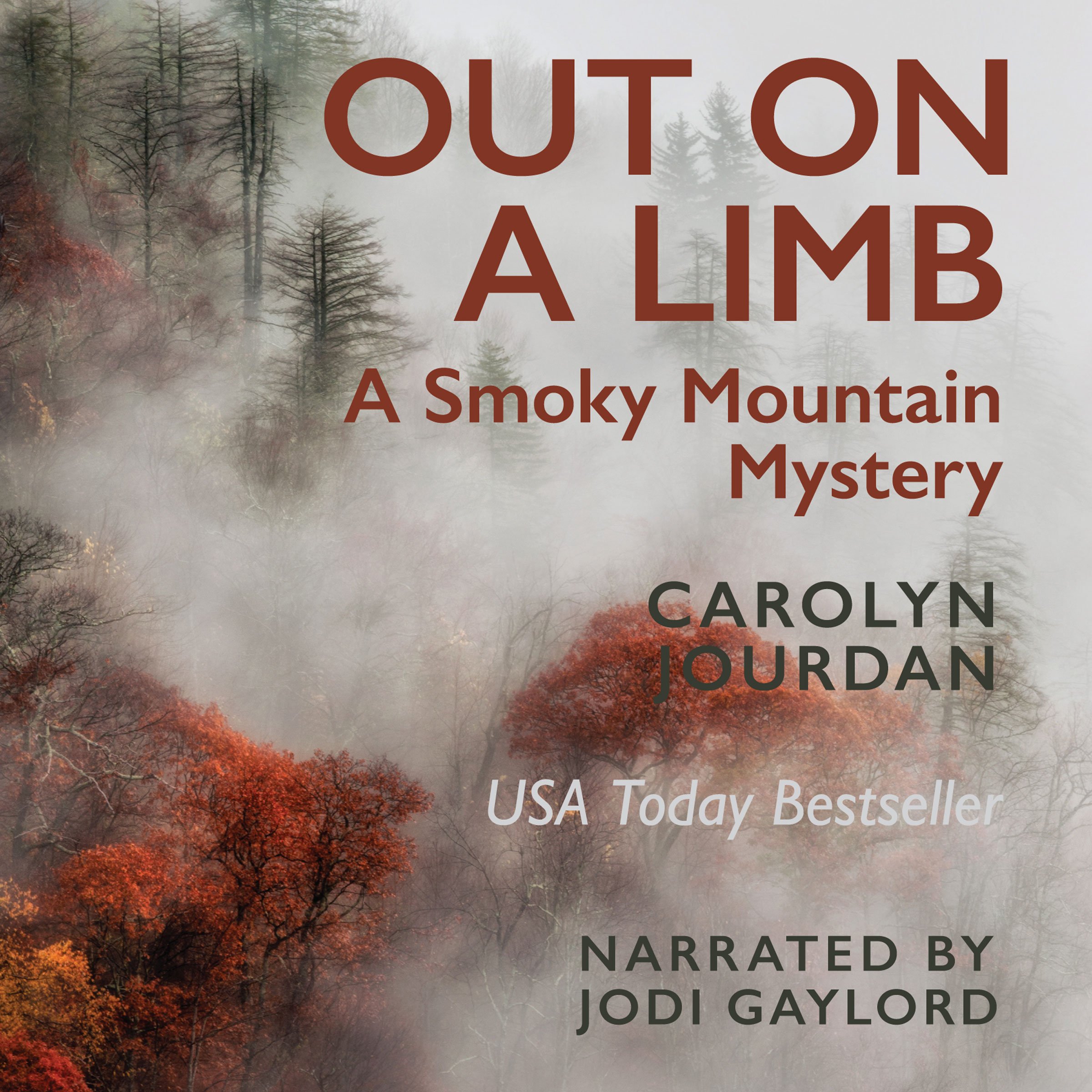 Out on a Limb: A Smoky Mountain Mystery