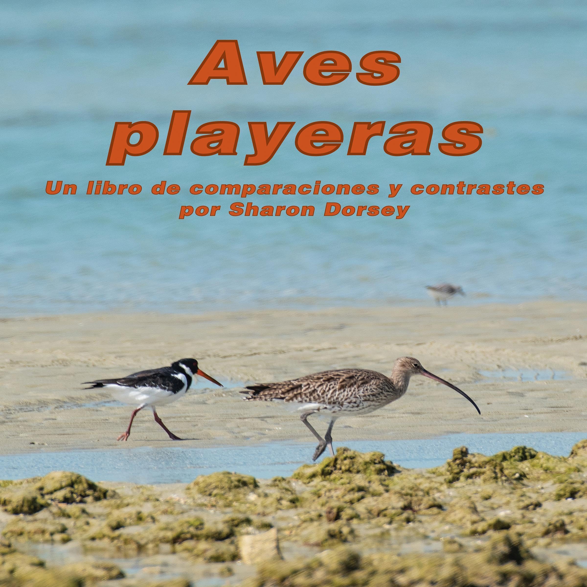 Aves playeras: Un libro de comparaciones y contrastes [Beach Birds: A Book of Comparisons and Contrasts]