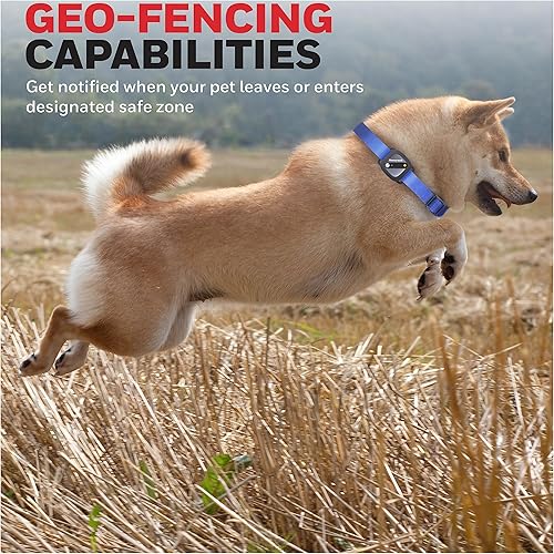 Miniatura 3 de Honeywell Rastreador de actividad para mascotas con GPS para perros, azul - Usa tu collar o incluye talla única, para todos los cuello, geo-cercado,