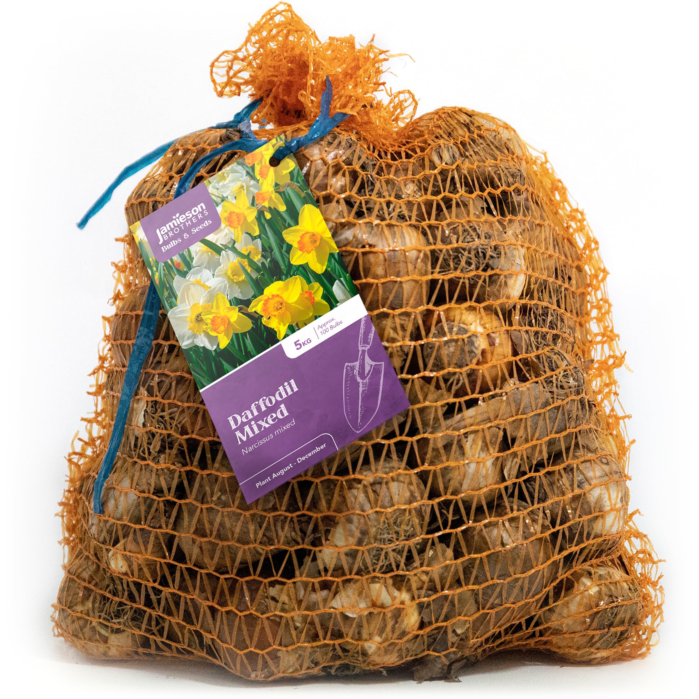 Mixed Variety Daffodil Bulbs 5kg – Large Sack Approx. 100 of Mixed Daffodils – Plant in UK Outdoor Autumn Gardens Now, Borders & Flowerbeds – by Jamieson Brothers — image 1