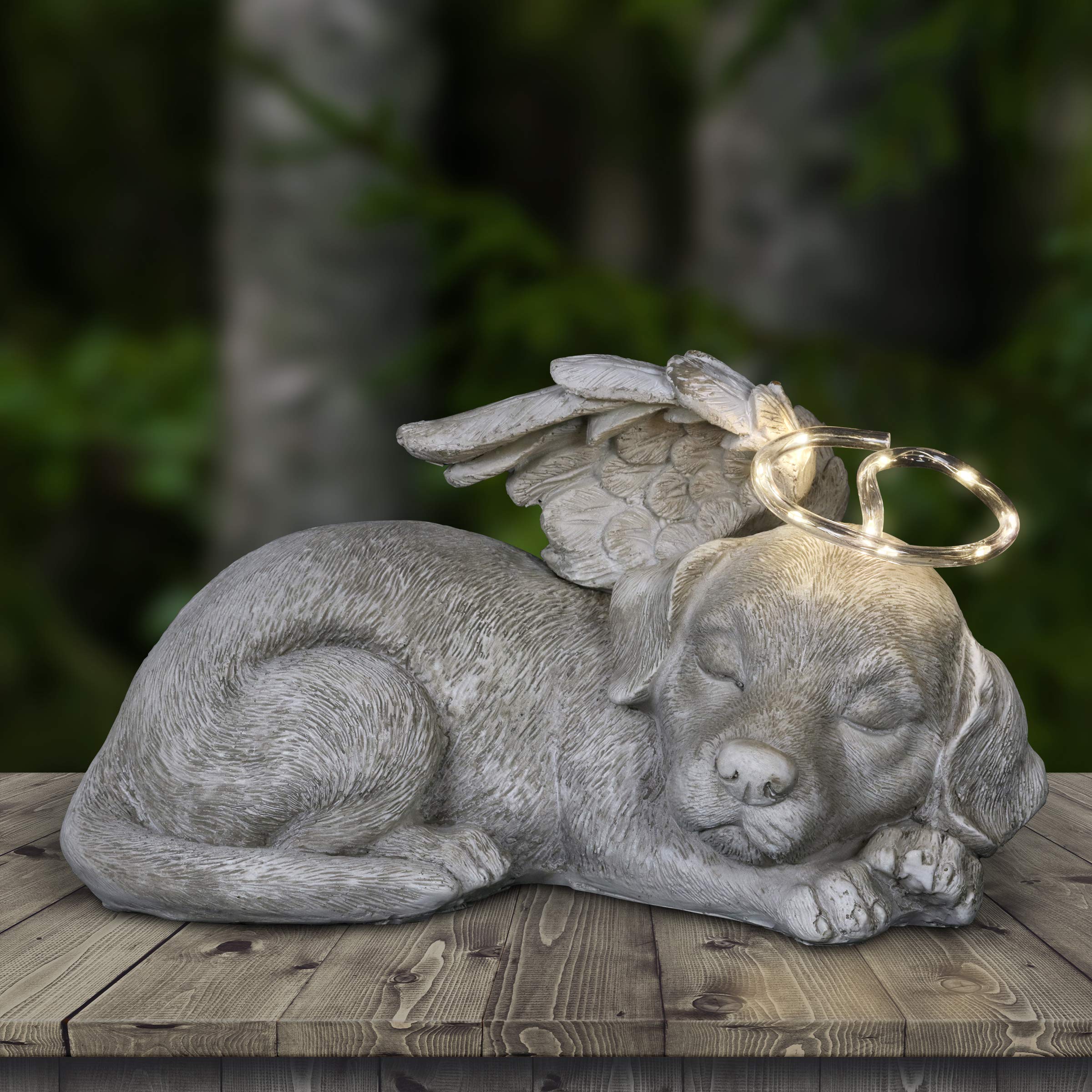 Buy Exhart Sleeping Puppy with Angel Wings and Solar Halo Sleeping
