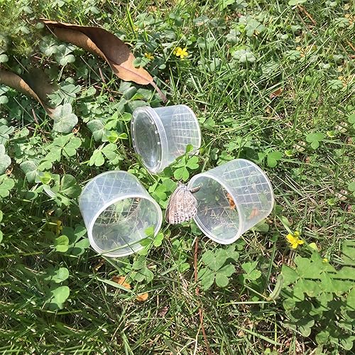 Miniatura 7 de Coopay 40 piezas de insectos, jaula de insectos con lupa, contenedor de lupa para insectos, contenedor de lupa para insectos, jaula para atrapar