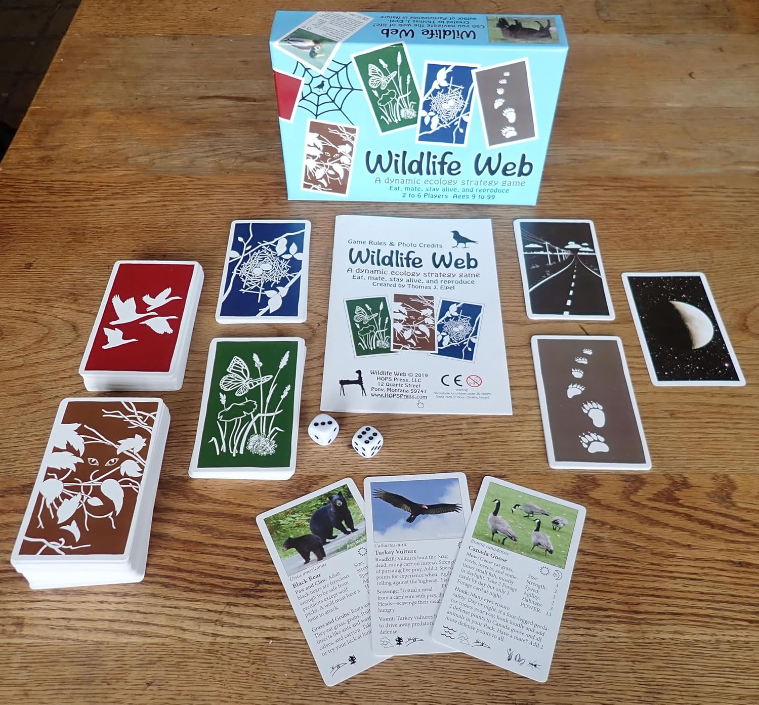 Wildlife Web: A Dynamic Ecology Strategy Game