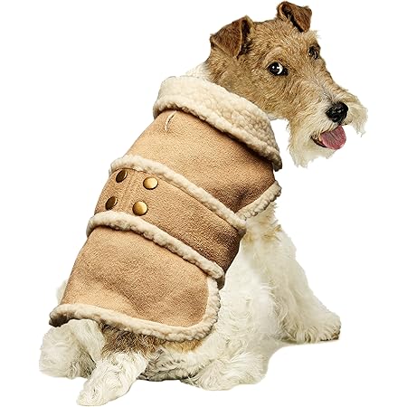 shearling dog coat