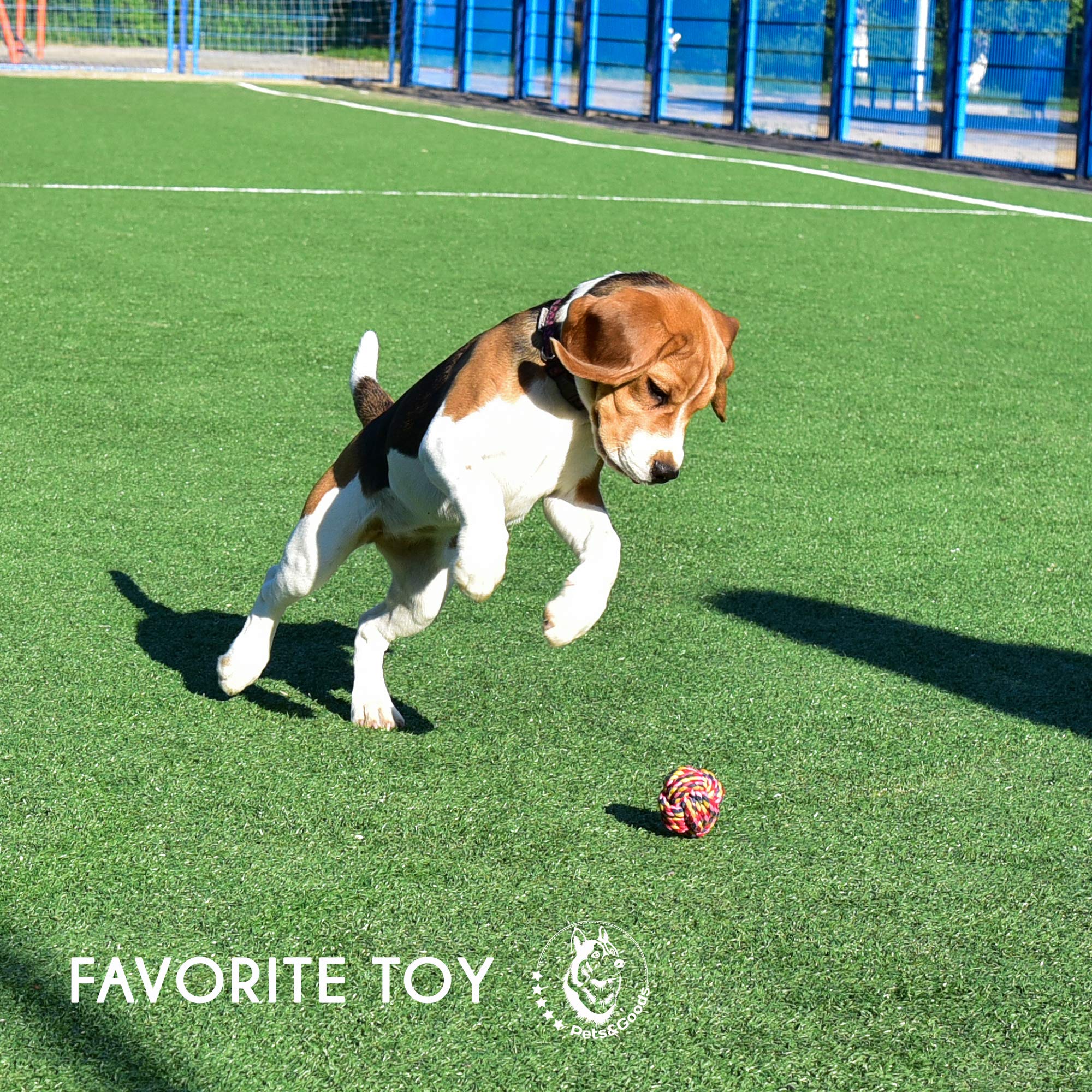 Hundespielzeug – Welpen-Kauspielzeug – Seilspielzeug für kleine Hunde – sicheres Welpen-Zahnenspielzeug – Kauspielzeug für kleine Hunde – Zahnen-Welpenspielzeug – Hundespielzeug – Hundespielzeug 9