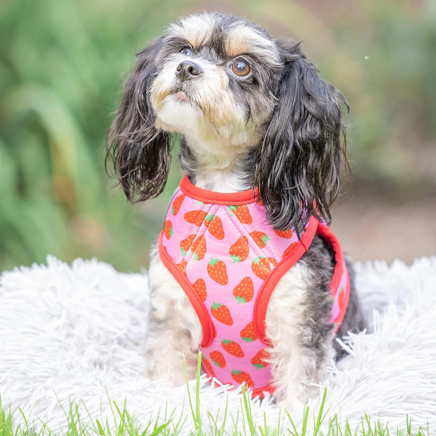 Huxley & Kent Hudson Harness | Strawberry (XXS, 2-6lbs) | Easy Control Step-in Mesh Vest Harness for Dogs with Reflective Strips for Safety | H&K Walking, Training Harness for Dogs