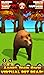 Virtual Pet Grizzly Bear
