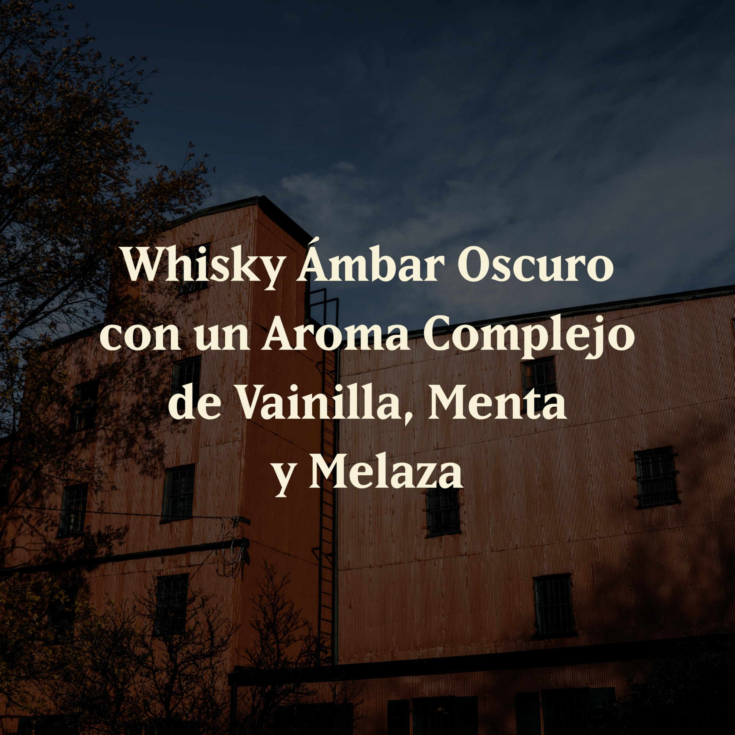 BUFFALO TRACE - Buffalo Trace Bourbon, Whiskey, 40% Volumen de Alcohol, 70 cl