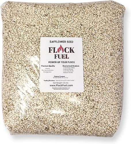 Flock Fuel - Semilla de pájaro de cártamo de alta calidad. Semilla de ave silvestre exterior para aves silvestres. 10 libras