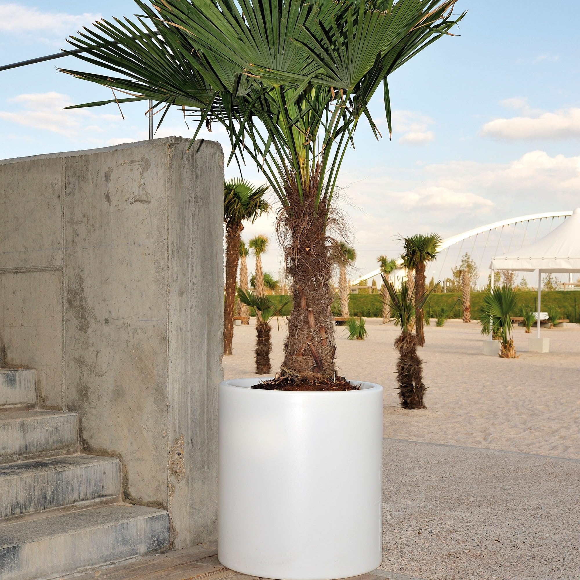 WELL HOME MOBILIARIO & DECORACIÓN Vaso modello agila Ø39x40 antracite