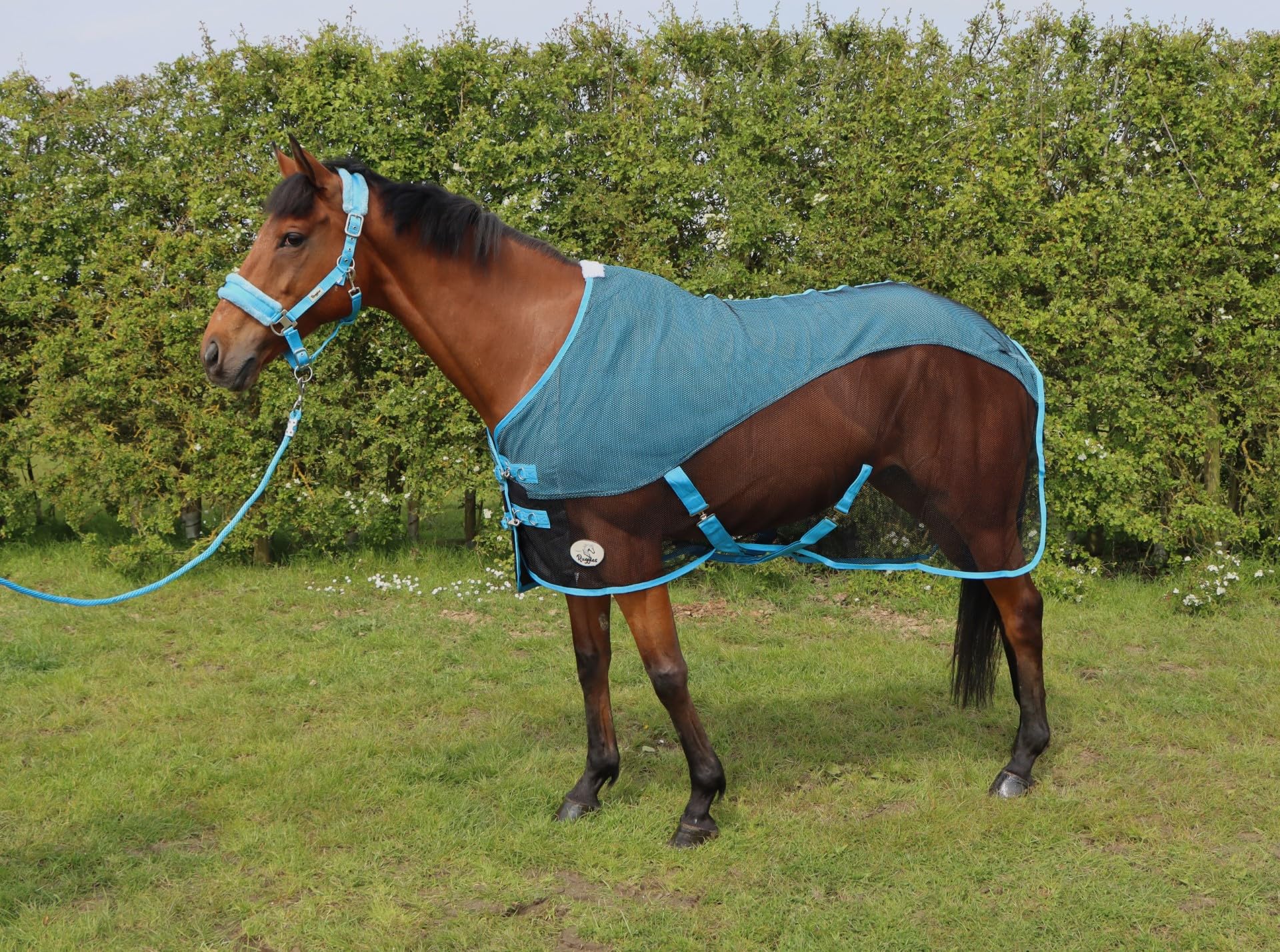 Ruggles Fleece/Mesh Cooler Rug for Horse and Ponies, Black?Sky Blue, 6' 3" - Image 2