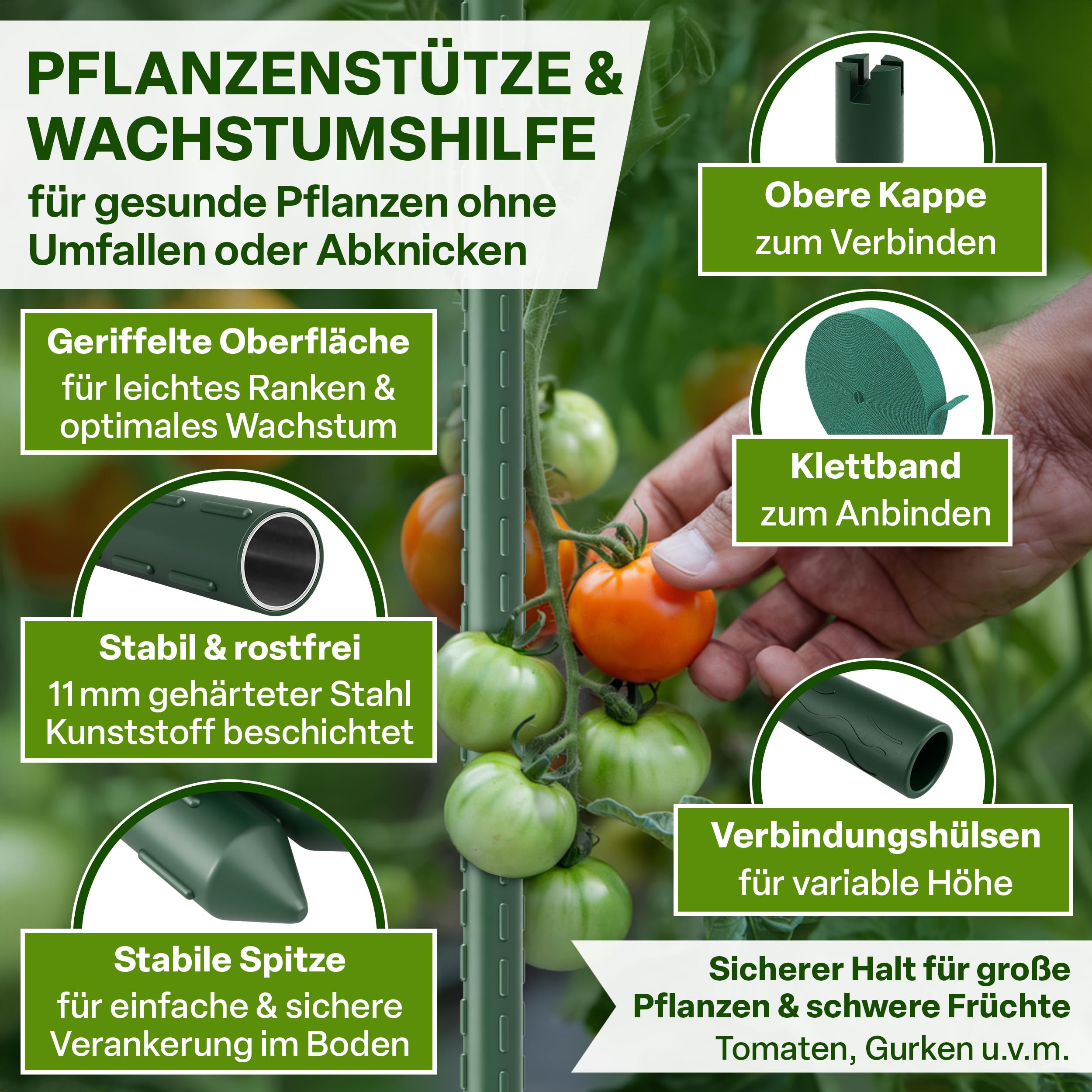 TTL GARDEN Lot de 10 tuteurs 240 cm x 11 mm de diamètre - Vert - Tuteurs + bande Velcro - En acier inoxydable revêtu de plastique - Support pour plantes - Pour tomates, poivrons, concombres, haricots