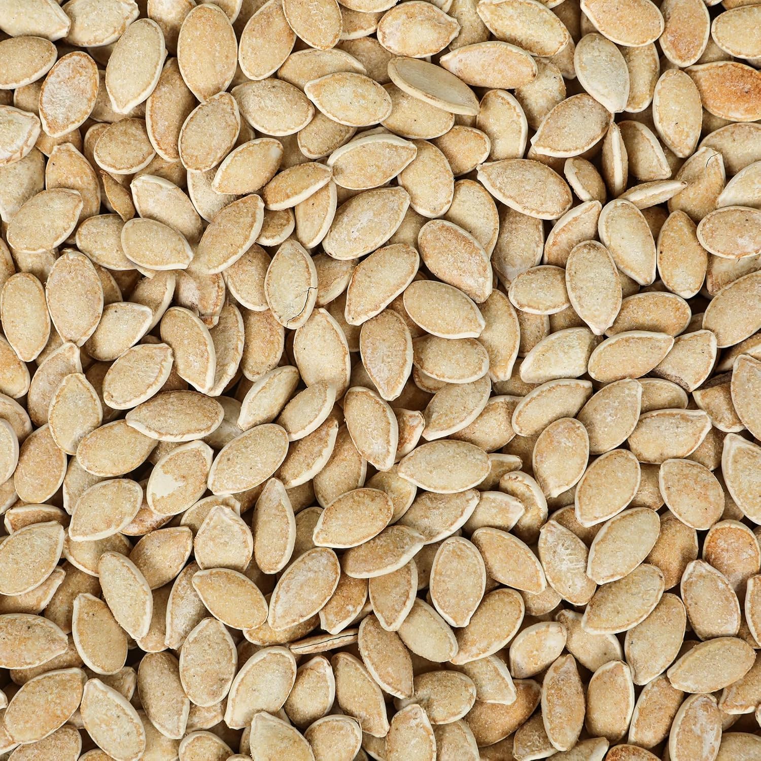 Smarty Stop Double Roasted Pumpkin Seeds In Shell (5 Pound (Pack of 1))