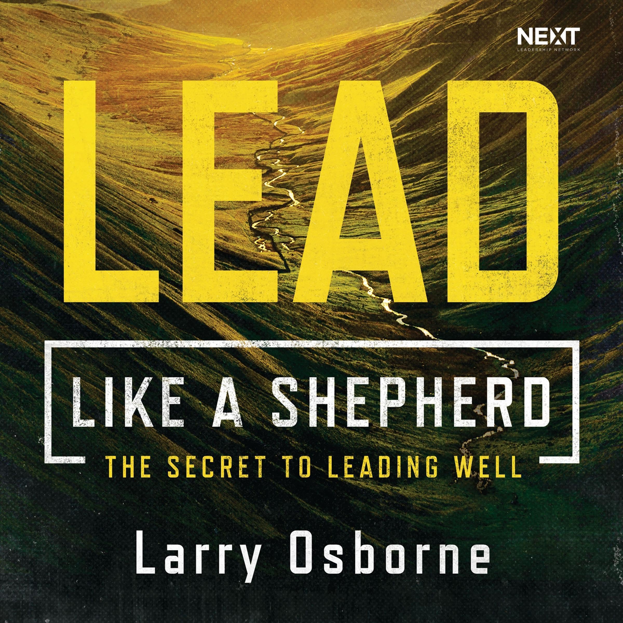 Cover art for Lead Like a Shepherd