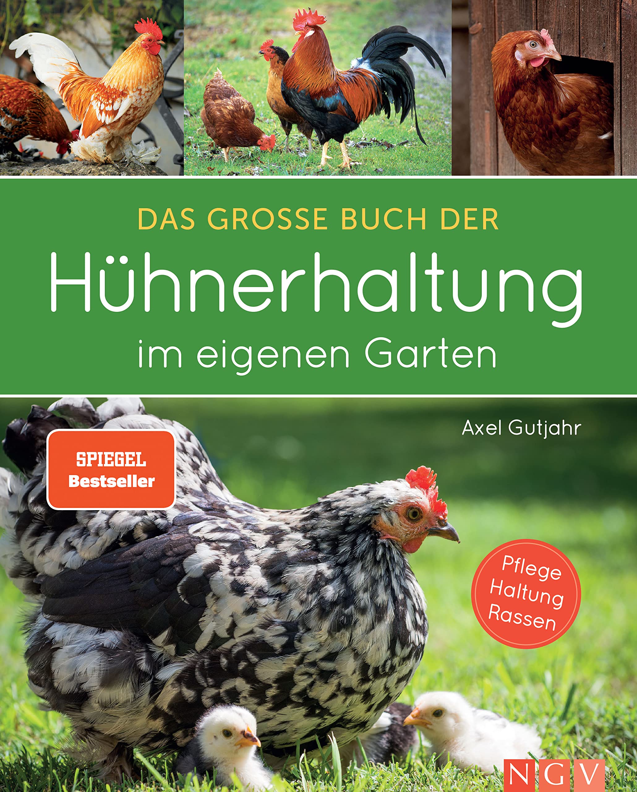 Das große Buch der Hühnerhaltung im eigenen Garten: Ratgeber zu Pflege, Haltung, Rassen I Hühnerbuch für Einsteiger und Fortgeschrittene