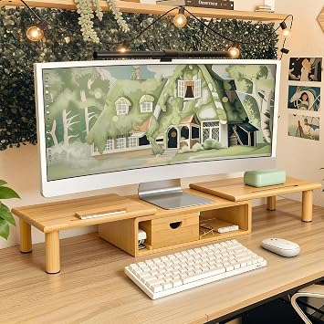 Dual Monitor Stand Riser with Drawer for Desk Laptop