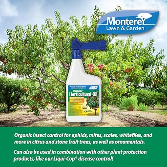 Monterey Horticultural Oil RTS Ready to Spray Bundled with Garden Measuring Spoon - Treatment for Control of Insects - OMRI Listed - 32 oz