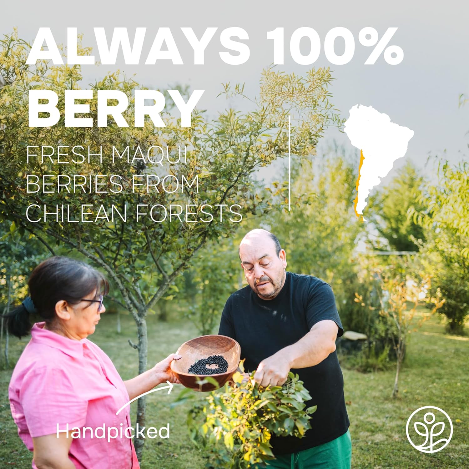 Jungle Powders Maqui Berry Powder Organic 5 Ounce Bag, Maqui Berry Extract from Whole Berries, Antioxidant-Rich Maqui Berries Powder for Smoothies, Superfood for Baking, Coloring and Immune Support - Image 2