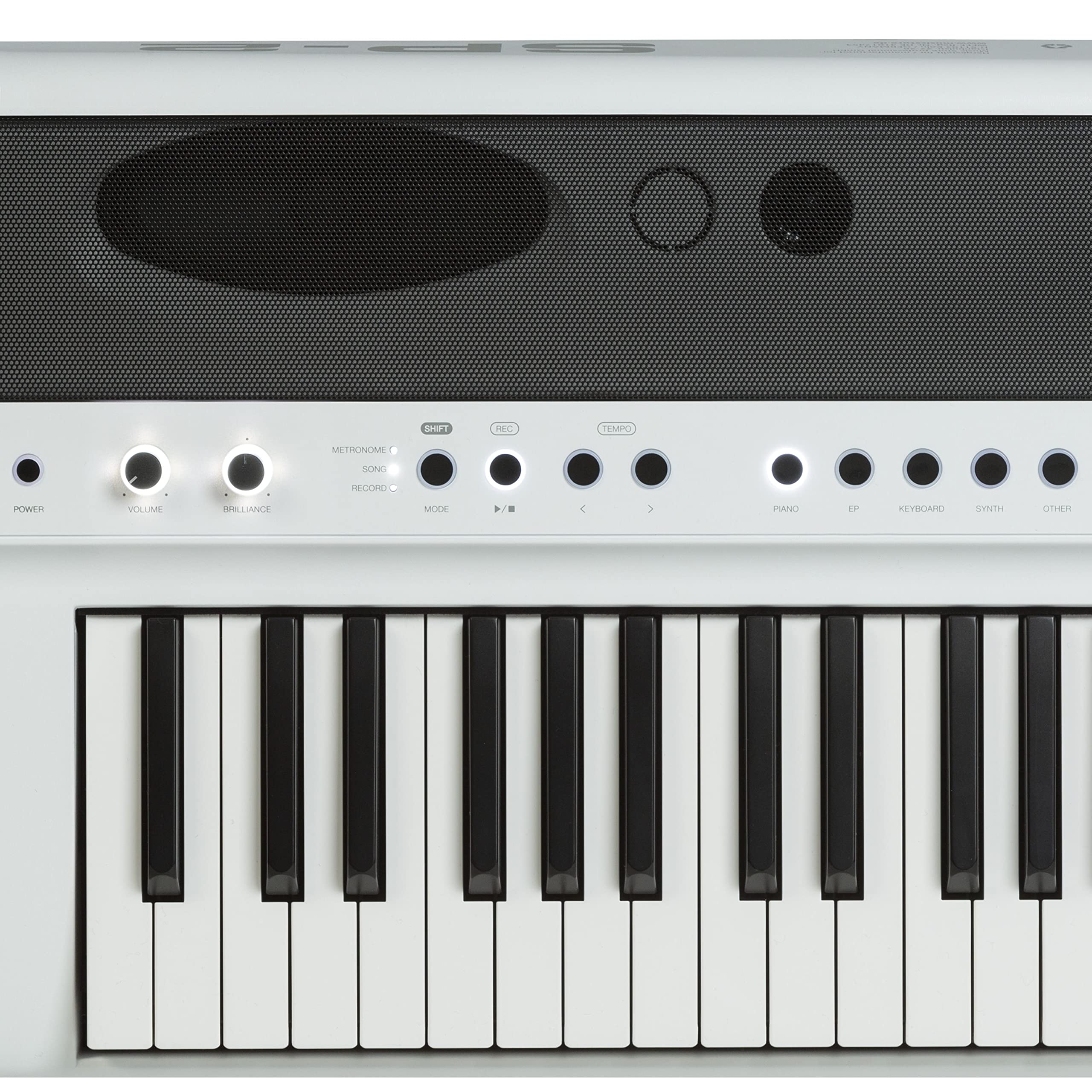 Fame SP-2 BW Stagepiano, 88 Tasten Hammermechanik, 192 Stimmen, 2x 20 Watt Stereo Lautsprecher, 25 Sounds, 50 Begleitrhythmen