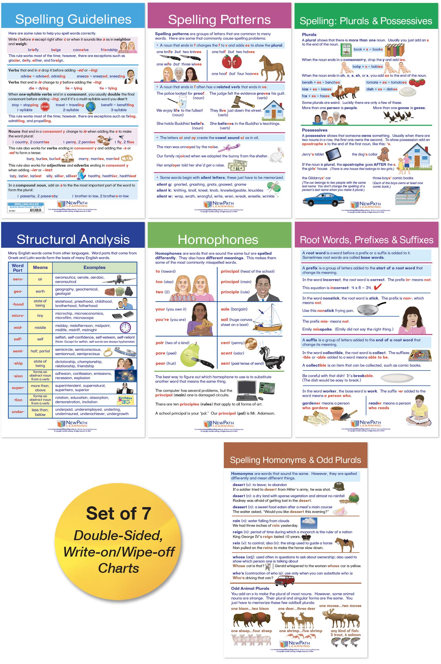 NewPath Learning Spelling Rules Bulletin Board Charts, Set/7 - Laminated, Double-Sided, Full-Color, 12" x 18" (92-3501)