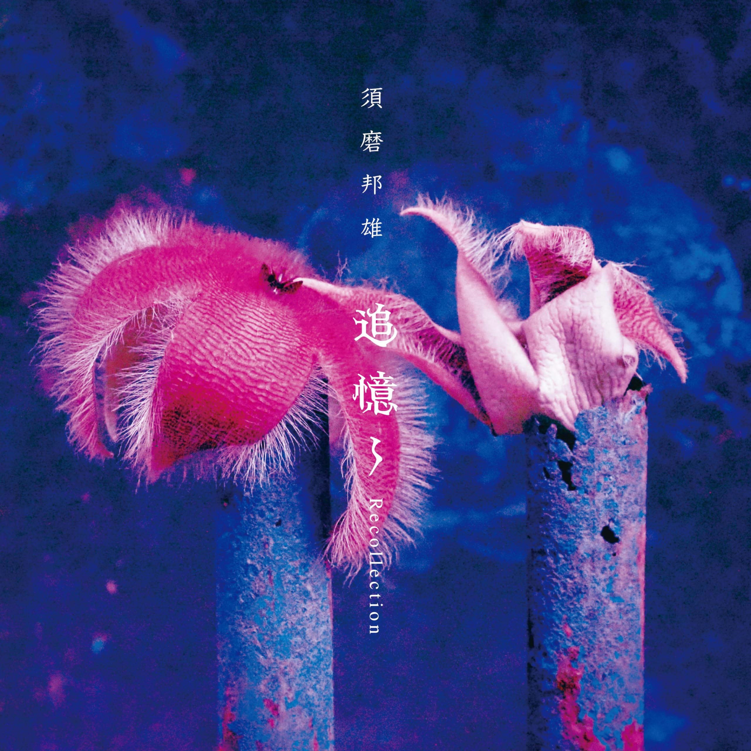 Amazon.co.jp: 追憶～Recollection [UHQCD/E式シングル紙ジャケット/帯