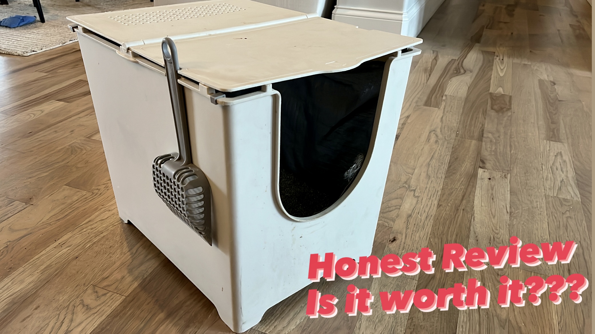 Watch Honest Review After 1 Year! Is Modkat Litter Box Worth It? on ...