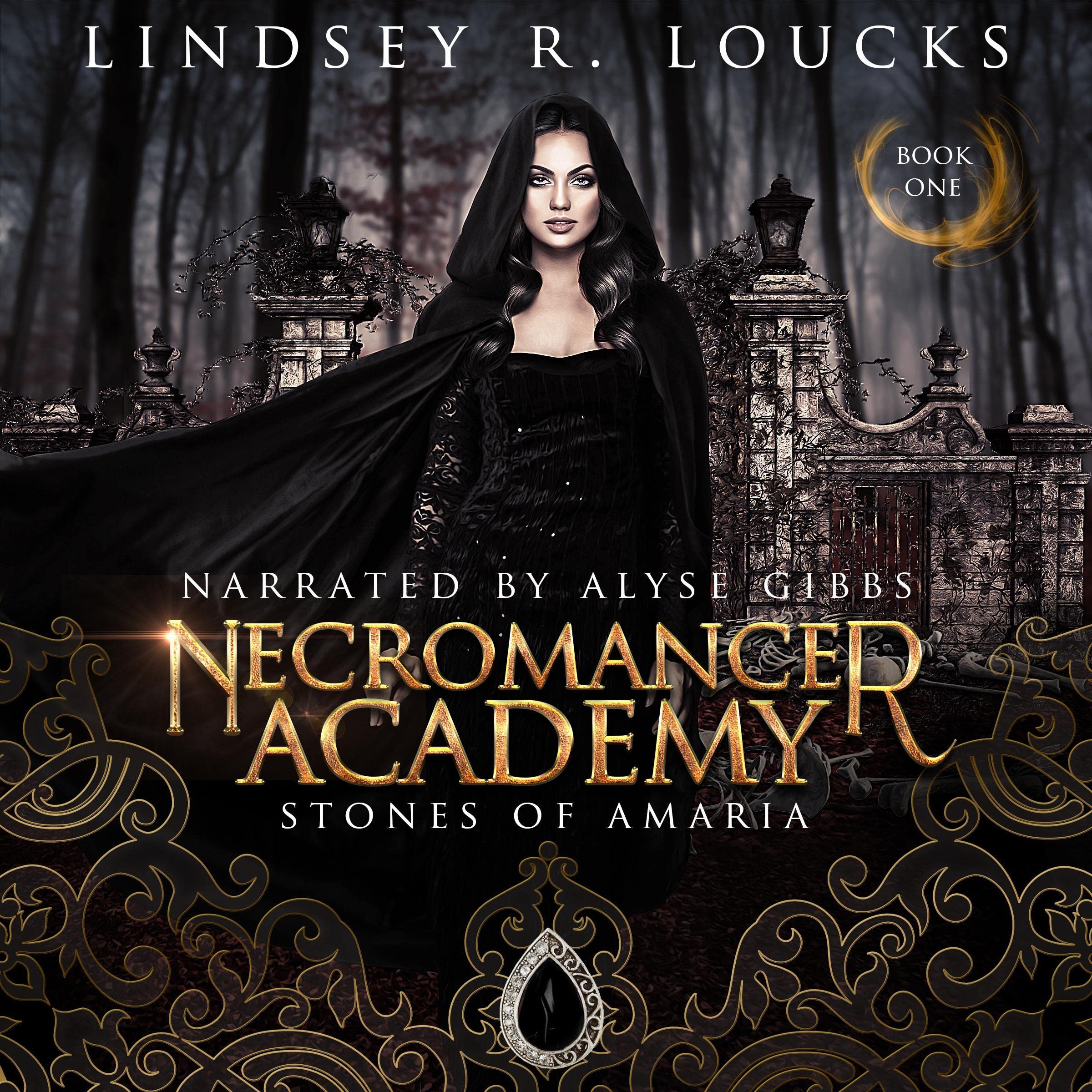 Cover art for Necromancer Academy: Book 1