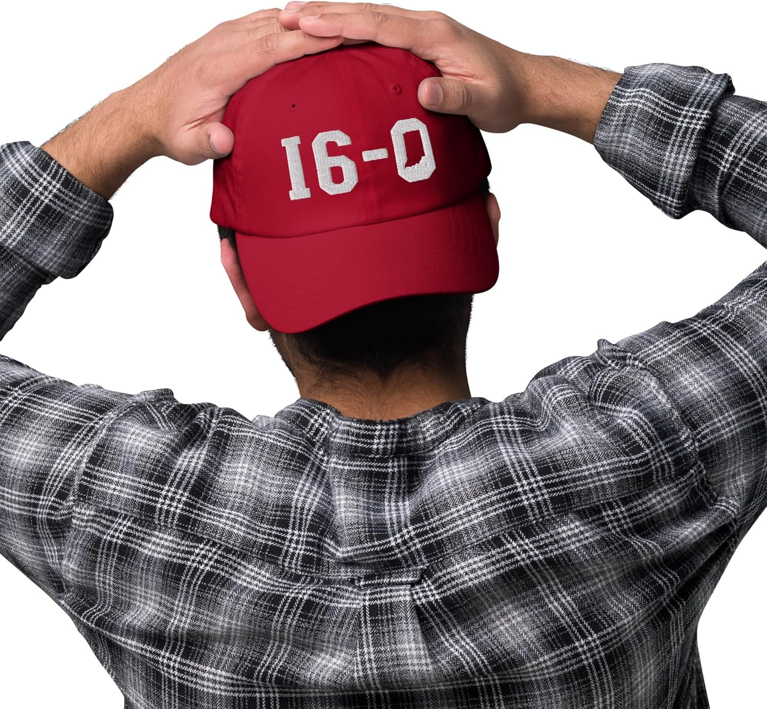 16-0 Embroidered - Football State Pride Champs Cute New Adult Dad Hat Cran Cardinal
