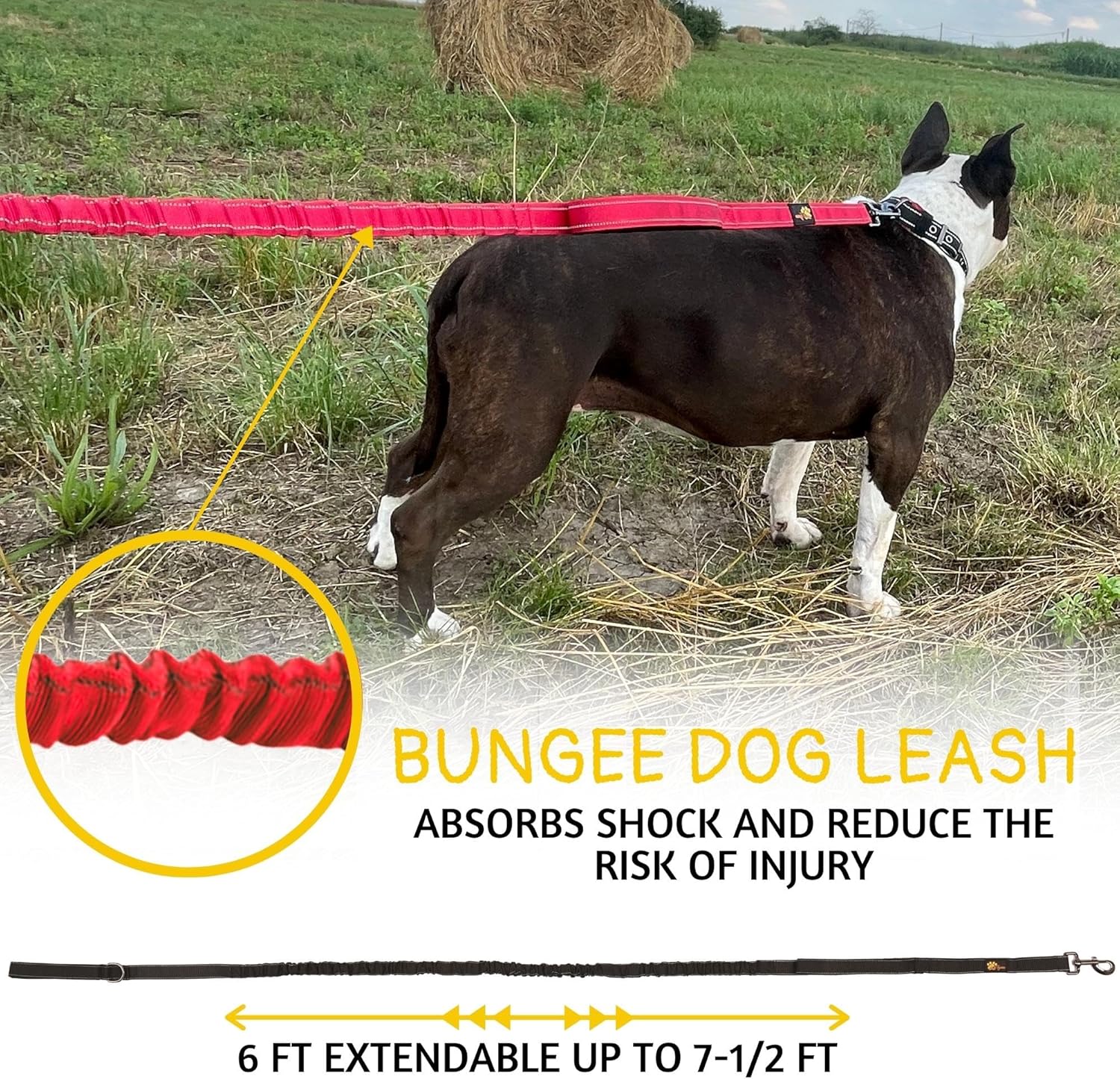 Heavy Duty Dog Collar for Medium Dogs with Handle and Bungee Dog Leash 6ft