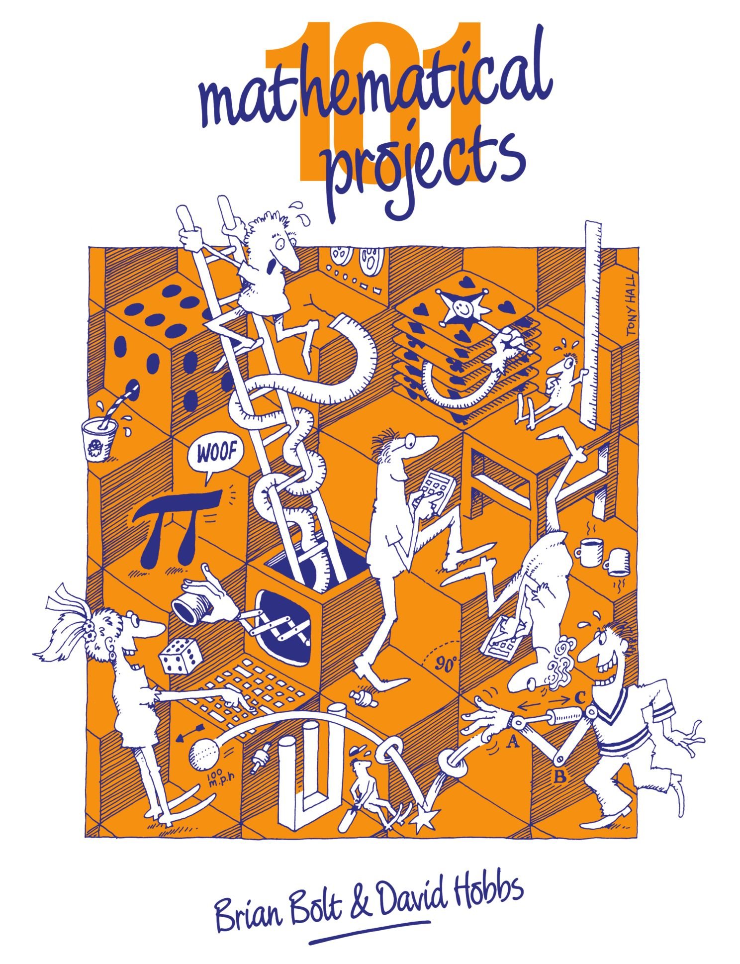 101 Mathematical Projects By Brian Bolt, David Hobbs