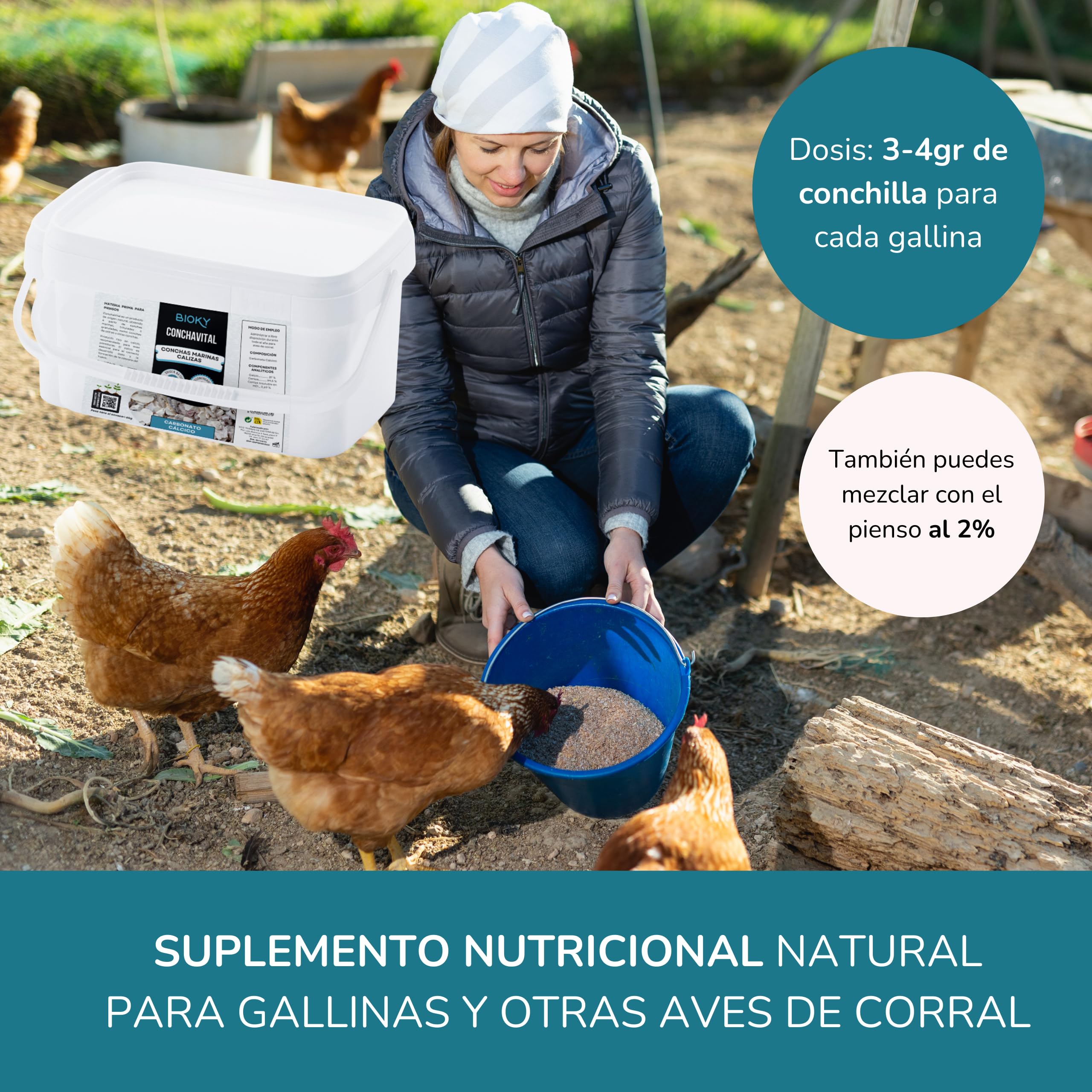 ConchaVital 6kg - Calcio para Gallinas Ponedoras y Otras Aves - Conchilla de Ostra - Pienso +12 Minerales - Mejora Calidad del Huevo, Corrige Carencias Nutricionales y Mejora Productividad