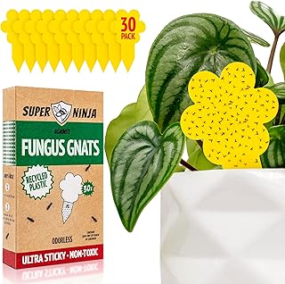 Super Ninja Fungus Gnat Traps - 30 Pack, Highly Effective Gnat Traps for House Indoor, Yellow Sticky Trap for Plants, Non-Toxic & Nature-Friendly, Up to 3 Months