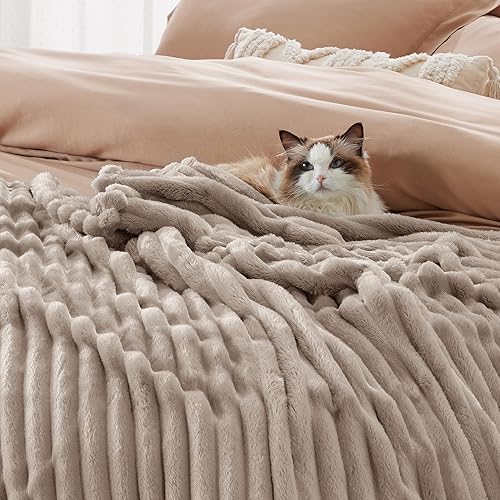 Miniatura 48 de Bedsure GentleSoft Twin Blanket for Couch - Cozy Soft Blankets for Women, Cute Small Fleece Throws for Girls, Light Grey, 60x80 Inches