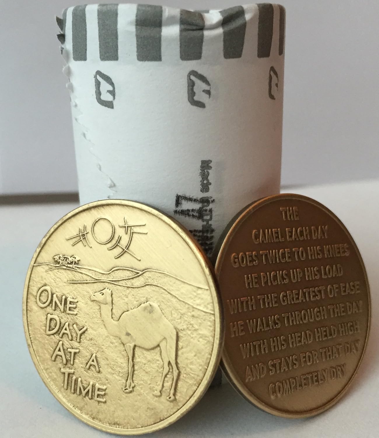 Wendells Bulk Lot of 25 Camel Desert Scene One Day at A Time Bronze Medallions Chips