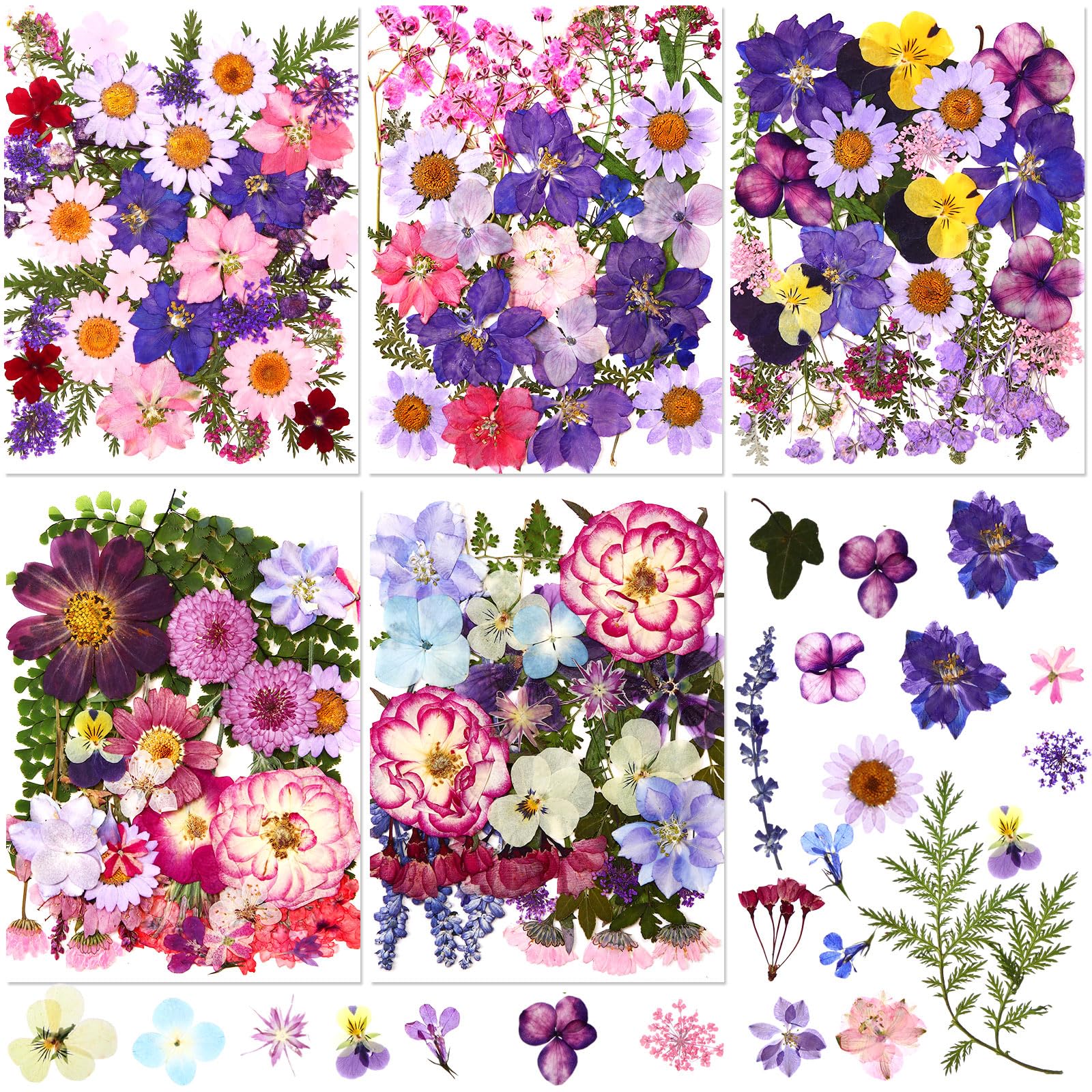 Nuanchu 167 Pcs Real Dried Pressed Flowers