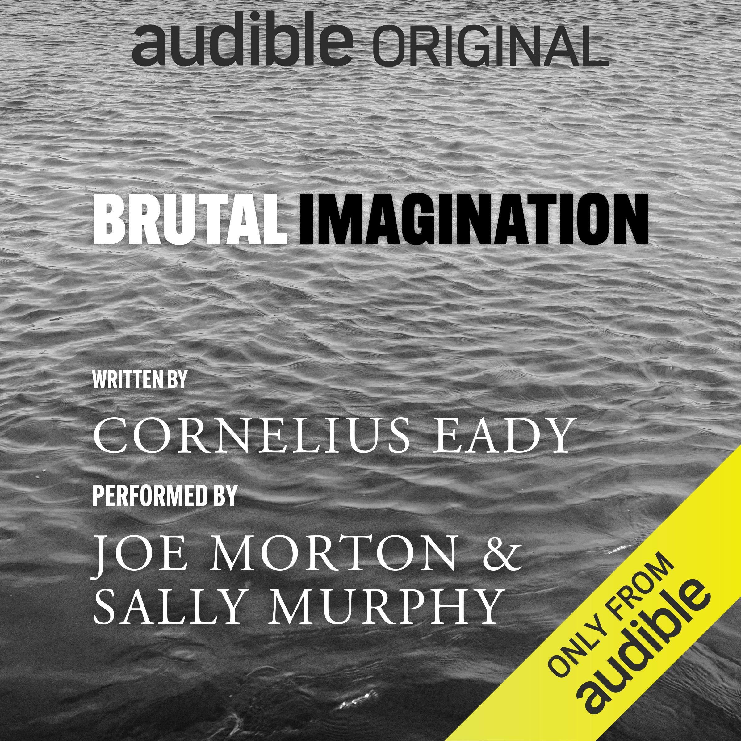 Cover art for Brutal Imagination