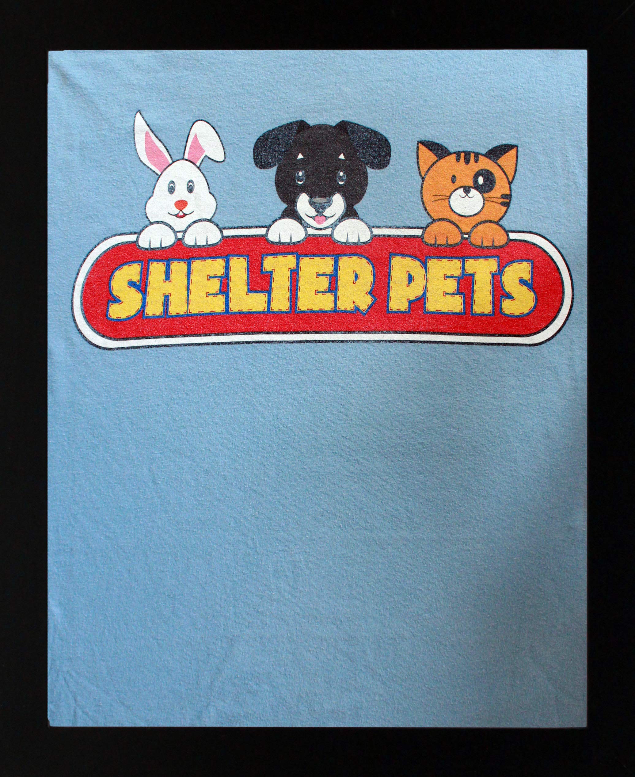 Buy Black Gallery 14x18 TShirt Display Frame Includes Foam Inserts